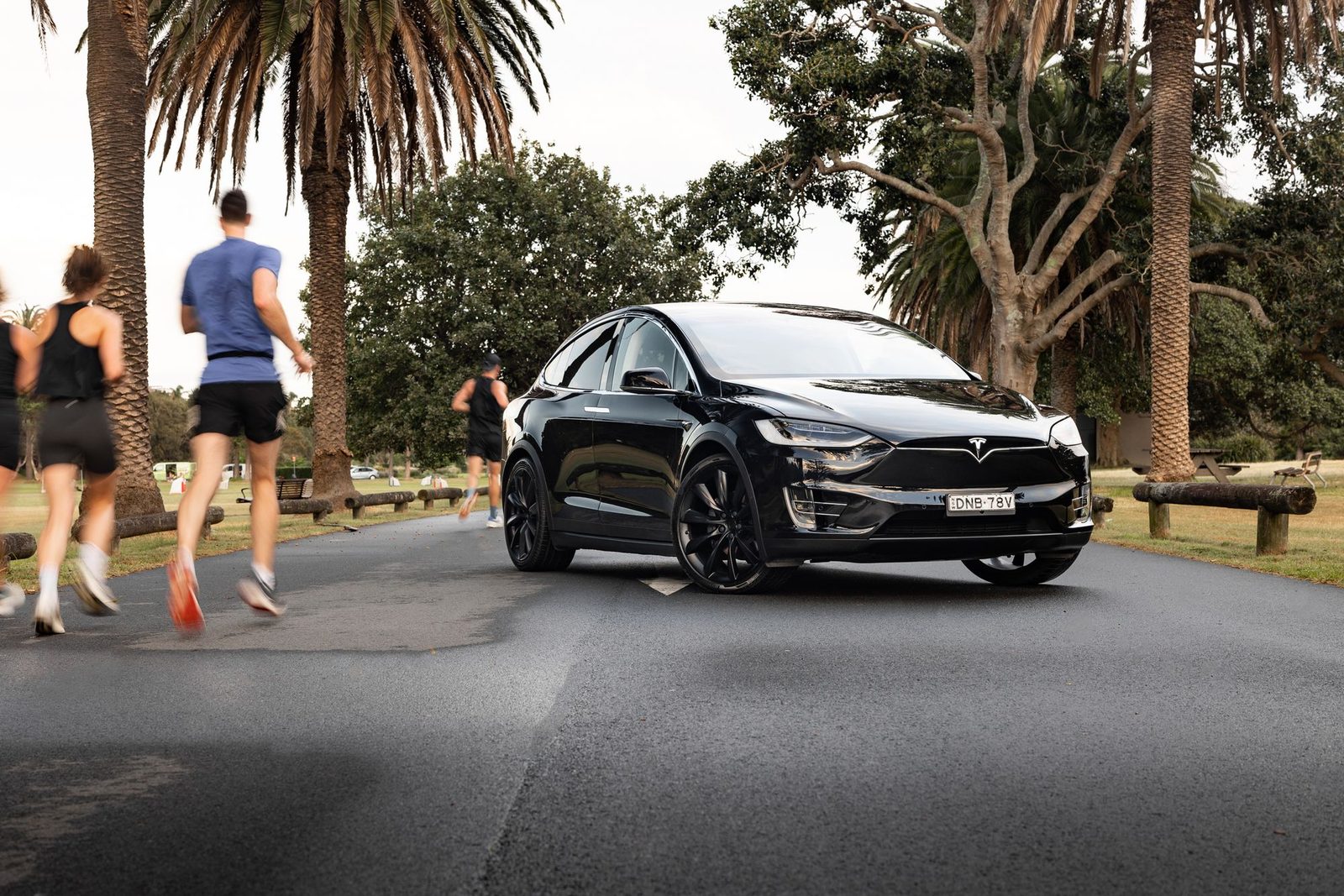 Tesla Model X parked on a palm-lined road