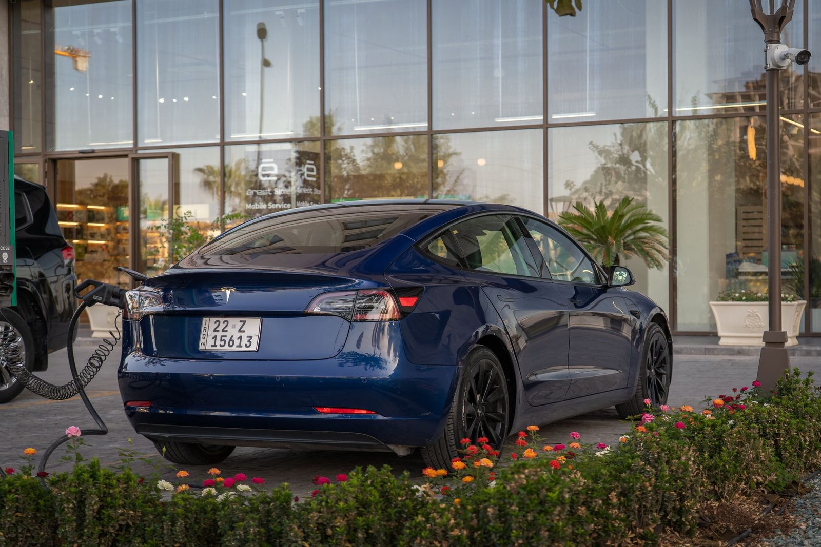 Blue Tesla Model 3 charging beside flower beds